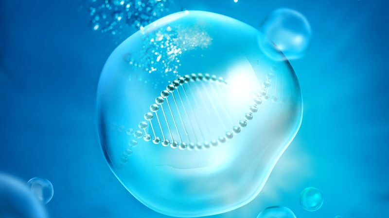 生物医药制剂小批量代工，如何确保品质与合规？**