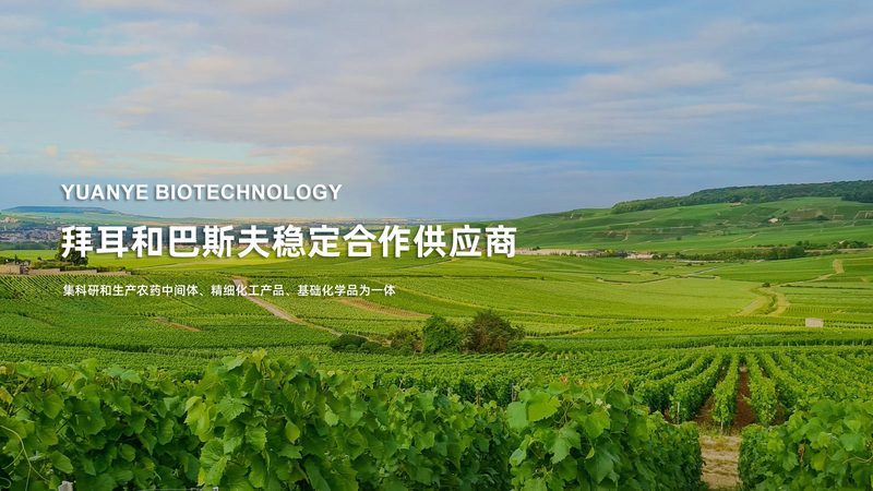 生物科技公司区域代理：如何规避合作陷阱**