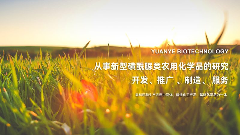 食品酶制剂代理加盟，这些流程和要点你了解吗？**