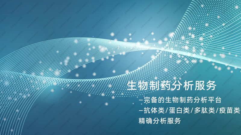 PCR引物设计：长度要求背后的科学逻辑