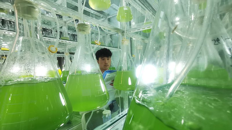小标题：CRO优化团队的角色与重要性
